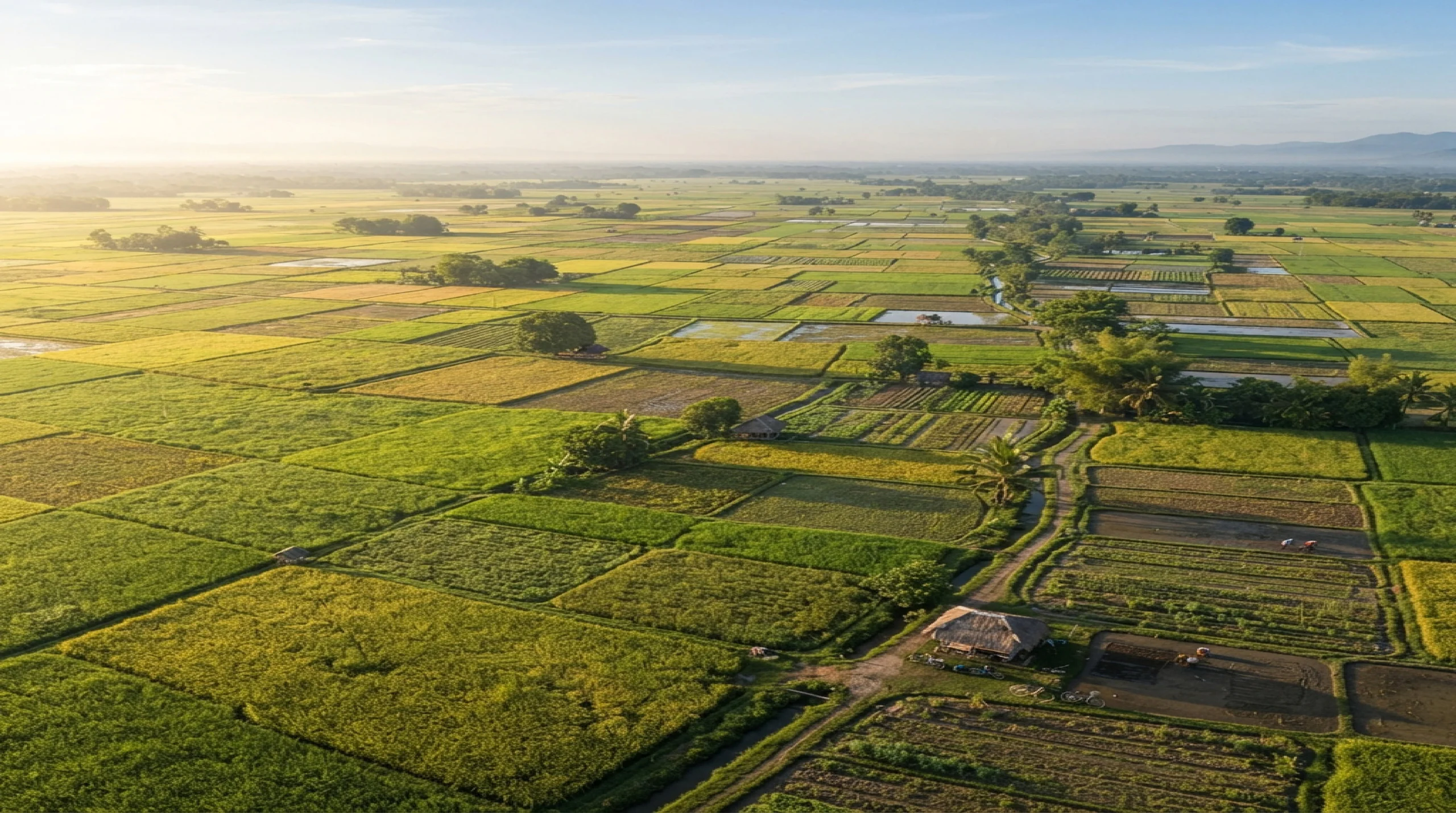 Aerial view of a cultivated plain at sunrise, divided into field parcels by boundaries and tracks, with distant hills on the horizon