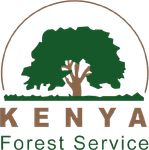 Kenya Forest Service
