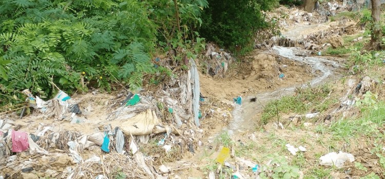 A thin stream of grey wastewater running down a gully choked with plastic bags and litter