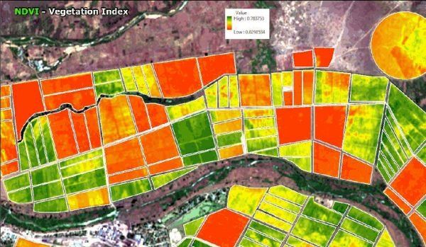 An NDVI map of irrigated fields beside a river, each field shaded from red for weak vegetation to green for vigorous growth, with a value legend