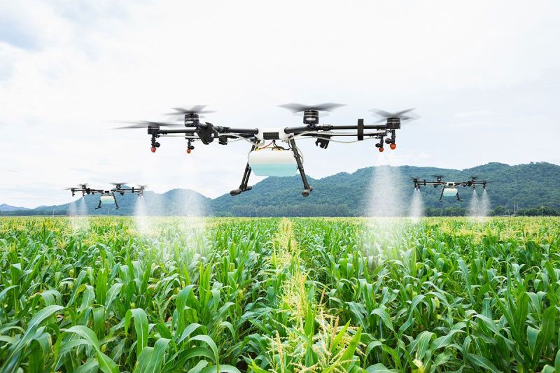 Three agricultural drones spraying a maize field, green hills behind