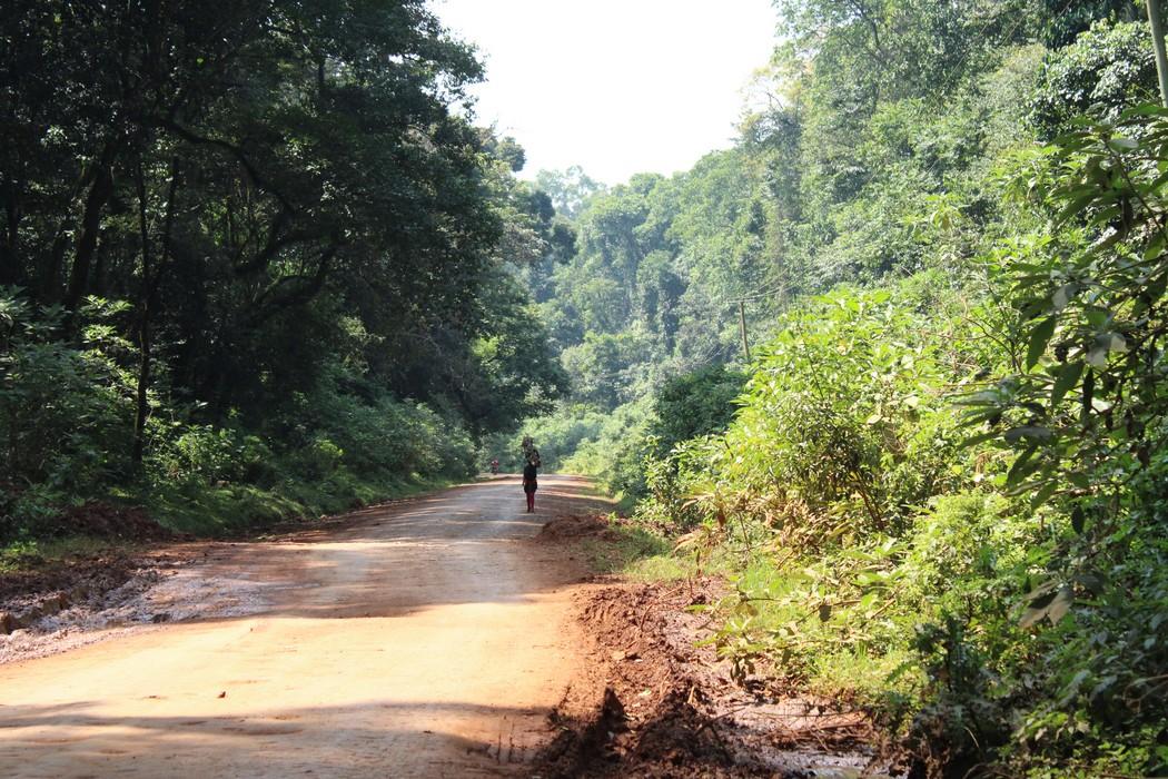 A red dirt road through dense forest, a lone walker in the distance