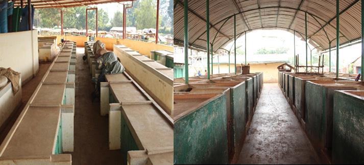 Two views of an empty covered market, long rows of concrete and wooden stalls with no traders
