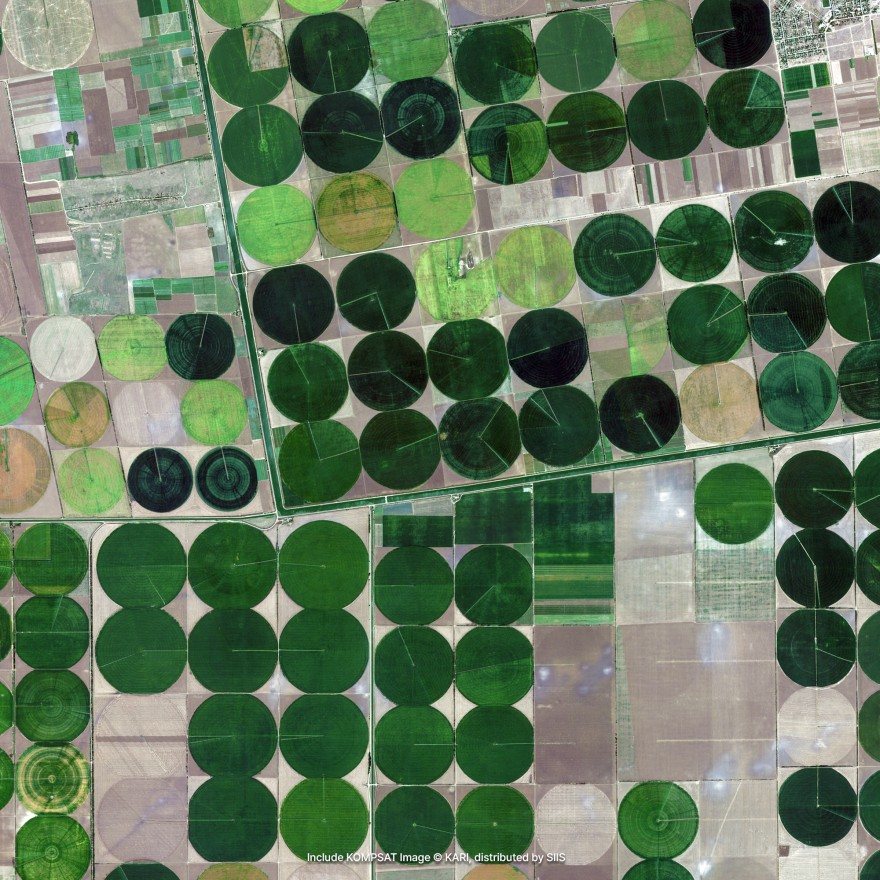 Satellite imagery of irrigated farmland: dozens of circular centre-pivot fields in shades of green, laid out in a grid