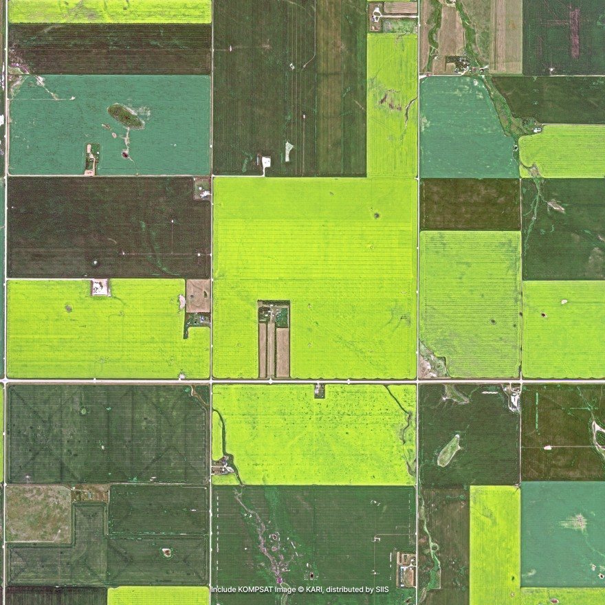Satellite imagery of large rectangular crop fields, some bright yellow-green and some dark green or brown, divided by straight tracks